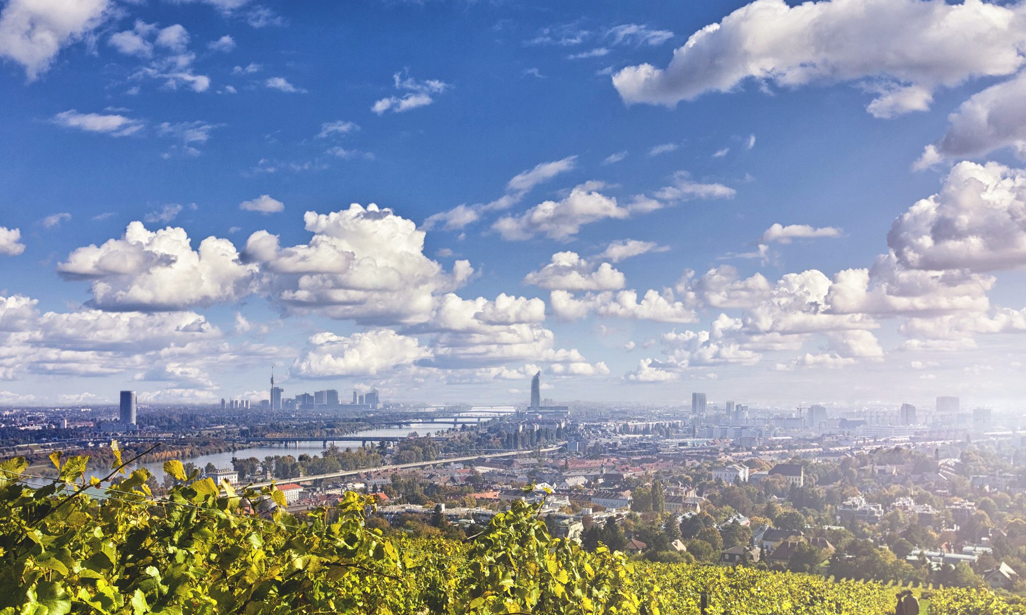 View of the Danube River and the skyline of Vienna. The Vineyards in front are from Nussdorf a suburb of Vienna in the 19th district of Doebling.