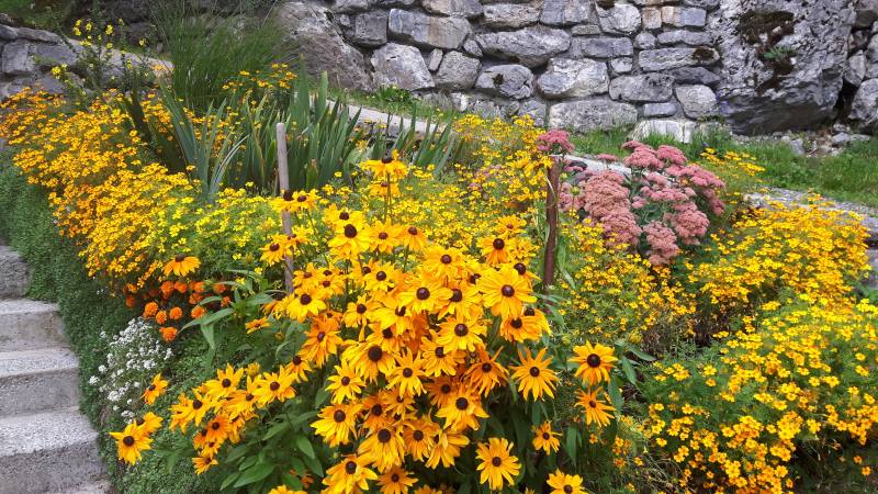 Blumen Giardina Zurich